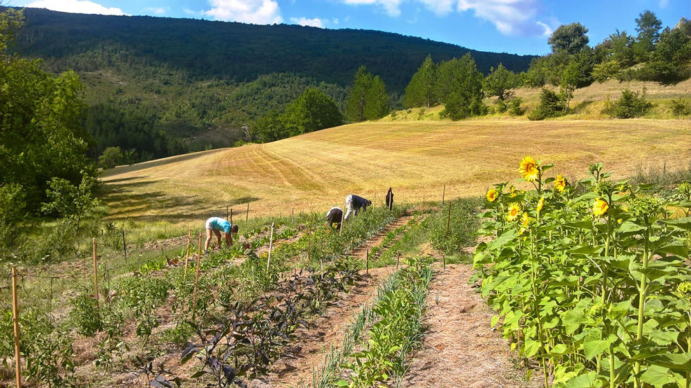 Une Agriculture Vivriere Cooperative Et Ecologique Fondation Terra Symbiosis La Nature Au Cœur Du Developpement Humain Une Agriculture Vivriere Cooperative Et Ecologique Fondation Terra Symbiosis La Nature Au Cœur Du Developpement Humain