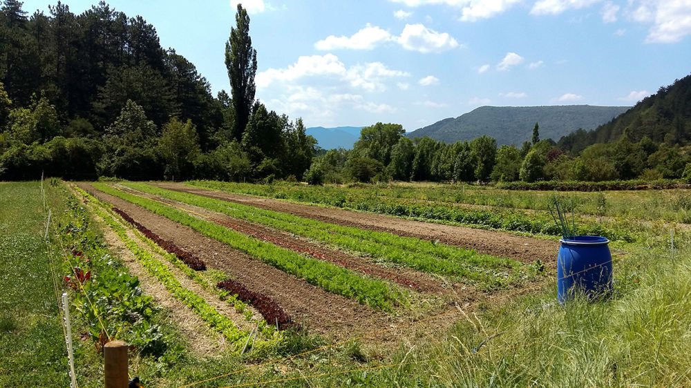 Une Agriculture Vivriere Cooperative Et Ecologique Fondation Terra Symbiosis La Nature Au Cœur Du Developpement Humain Une Agriculture Vivriere Cooperative Et Ecologique Fondation Terra Symbiosis La Nature Au Cœur Du Developpement Humain