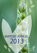Rapport annuel 2013