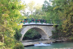 z-IMG_2010.JPG