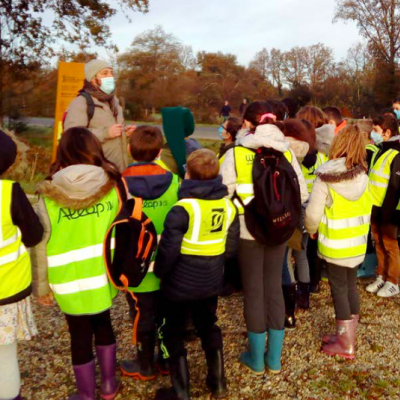 Sortie nature à la découverte du bocage humide des Cailleries pour les CM1