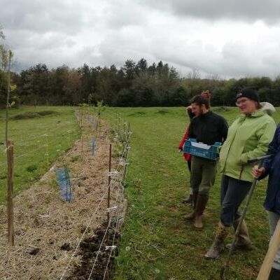 Chantier de plantation