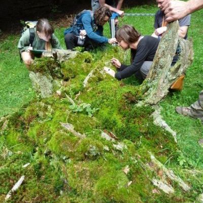 Formation de bénévoles sur les vieilles forêts © Rémy Josette