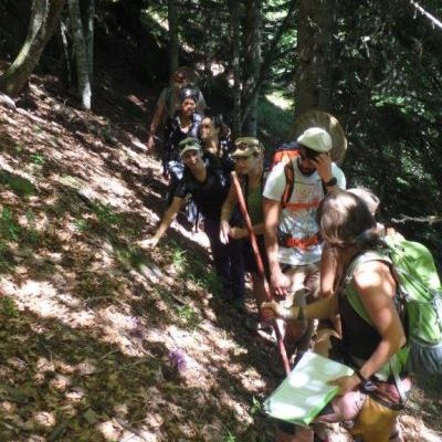 Formation des BTS Gestion et Protection de la Nature sur les vieilles forêts