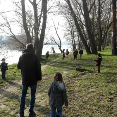 Jeu dans la forêt