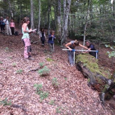 Inventaire de vieilles forêts avec les élus © Nature en Occitanie