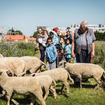 Ouverture de Zone Sensible : les moutons de Clinamen © Anne-Claire Héraud