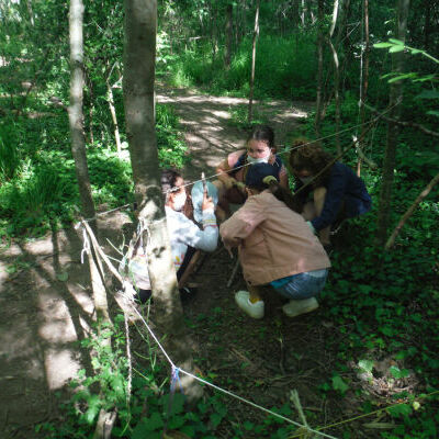 z-image002.jpg