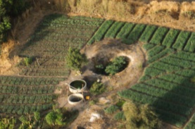 SPS-oasis1_3.jpg